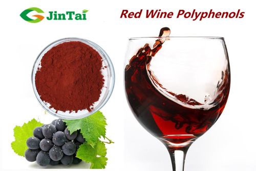 red wine polyphenols 30% red wine extract powder