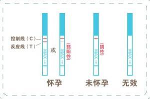 试孕纸