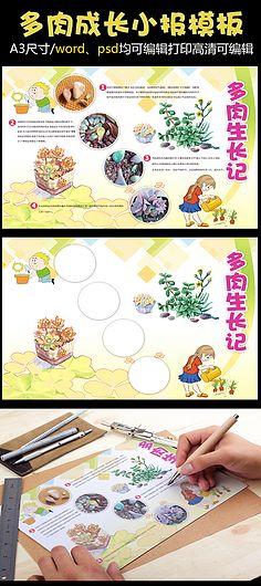 多肉植物介绍手抄报植物园手抄报