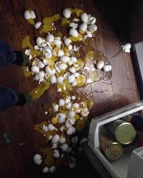 打开冰箱的瞬间,鸡蛋碎一地!