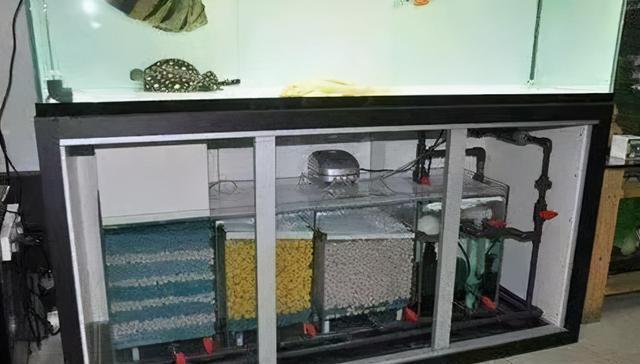 鱼缸滤材多样化,不如选用三两种常见滤材即可,多了也没用