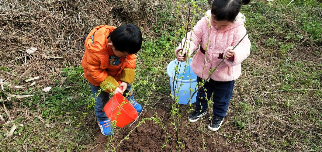 的美篇3月12日《植树节》记录童年的回忆!