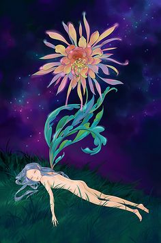 昙花