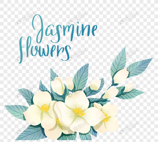 免抠元素 手绘/卡通元素 卡通 清新风格茉莉花元素.