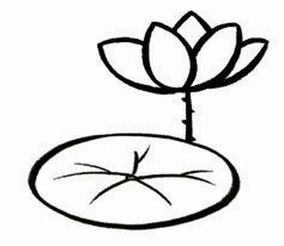 荷叶和荷花怎么画 图片