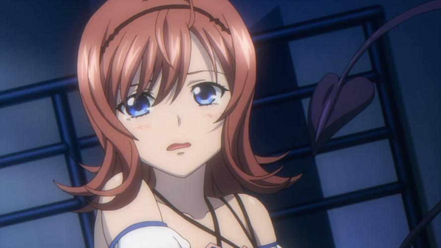 是轻小说及动画作品《 a target="_blank" href="/item/噬血狂袭