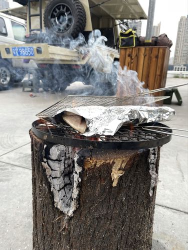 天然自制的木头烧烤炉_露营_烤炉_露营装备_兴趣爱好
