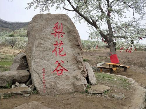 抚顺梨花谷景区