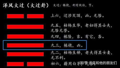 第28卦解读易经学会突破困境泽风大过大过卦