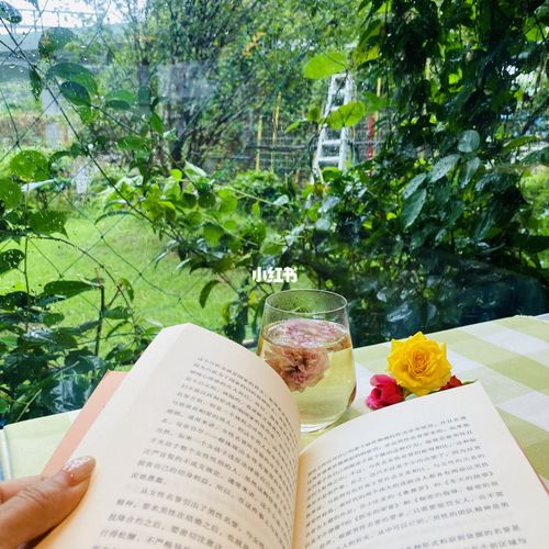 下雨天适合安静07 饮茶看书98_音乐_餐厅_运动_美食_美食展示