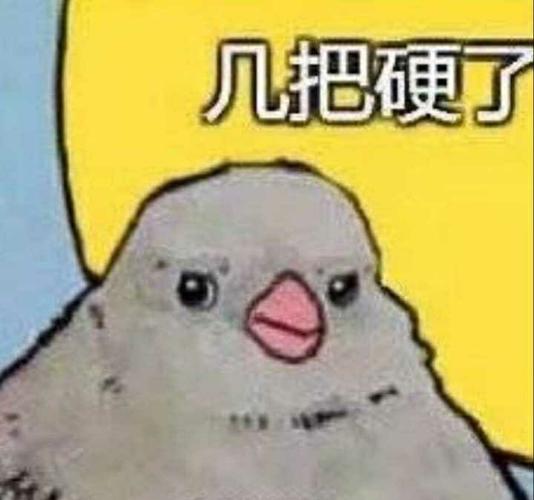 几把硬了表情包 - 表情图