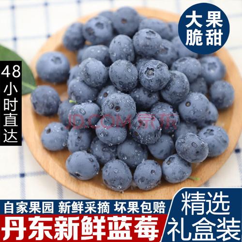 丹东新鲜蓝莓鲜果蓝梅现摘宝宝辅食孕妇新鲜水果 【公爵蓝莓】6盒1.