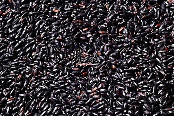 黑米食用方法及食用贴士 黑米功效与作用