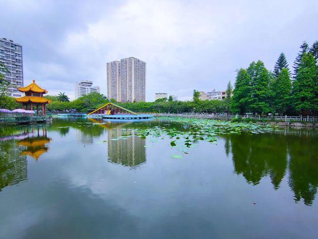 实拍玉林人民公园的荷花开了快来打卡