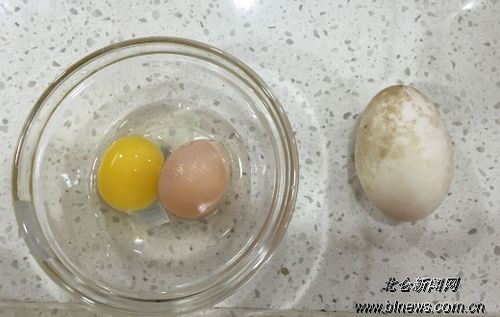 大海鸭蛋中惊现一个小蛋