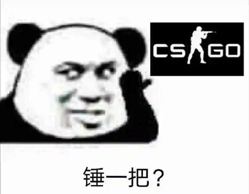 适合水csgo基友群的表情包