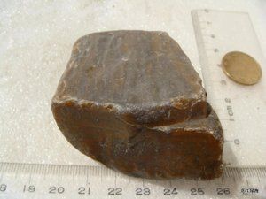 黑龙江水冲指甲纹硅化木 玉化木化石原石 有小裂天然石头 199克