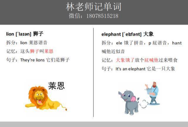 lion造句简单并翻译