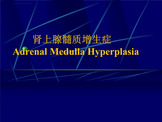 肾上腺髓质增生症新图文ppt课件.ppt