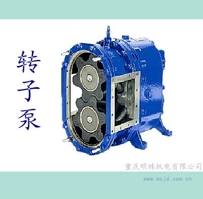 转子泵