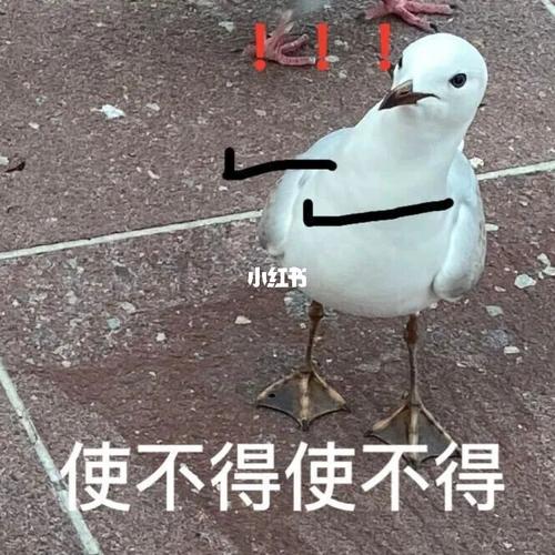 拿捏91_表情包_表情包分享_素材_表情包