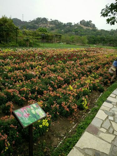 丹樱农业生态园