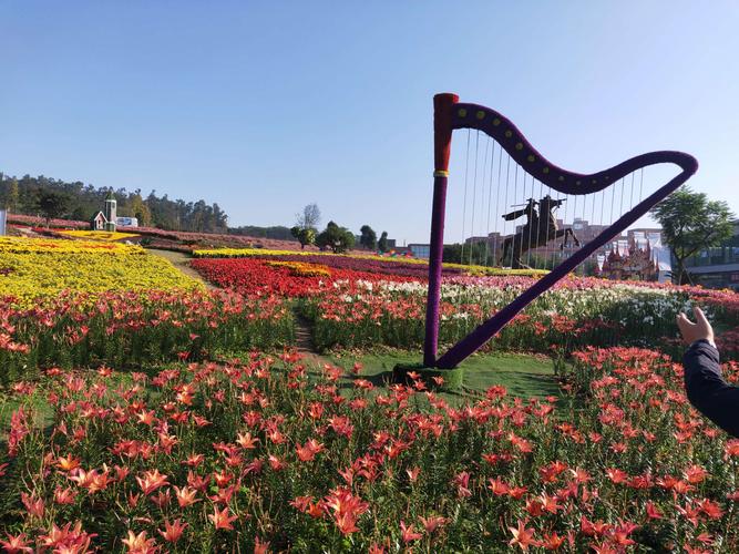 五龙山百花谷!2019.10.28