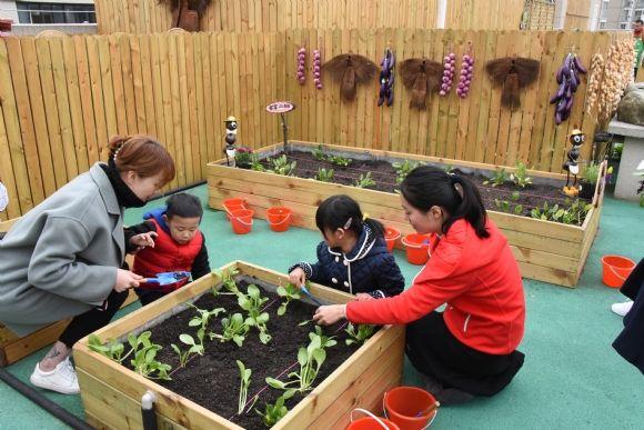 种植和收获的乐趣……3月22日,晓庄学院实验幼儿园恒山路园"锄禾园"