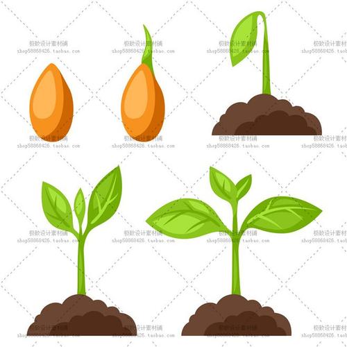 25个eps 植物培育 生命 栽种工具园丁 种子 幼苗矢量图 设计素材