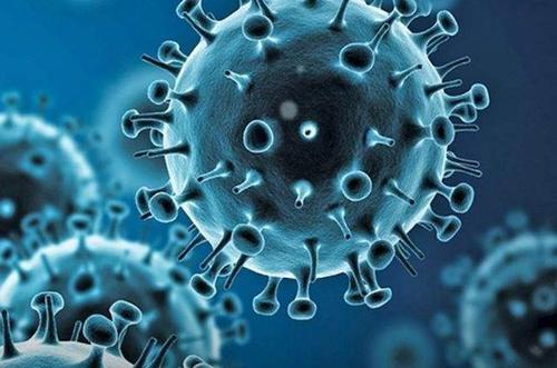 世卫称新冠病毒传播不受季节影响