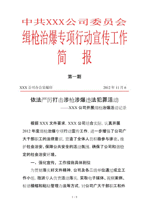 缉枪治爆简报模版.doc