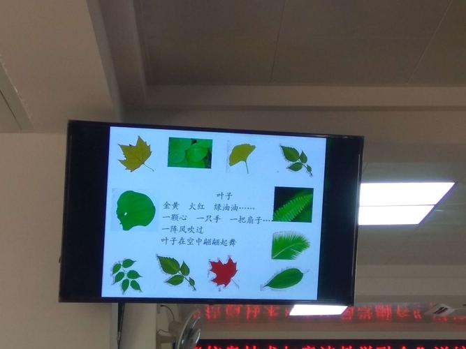其它 诗歌教学展示课:《童诗的加法》～温秋叶 写美篇从叶子,你想到