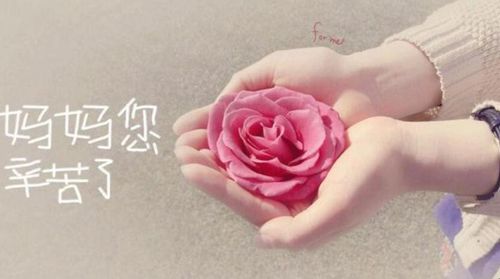 母亲节写给妈妈的话暖心到哭的句子有哪些