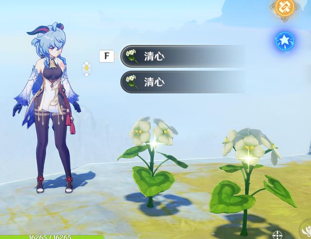 原神里最难收集的特产top4,稻妻这种新材料竟比琉璃袋