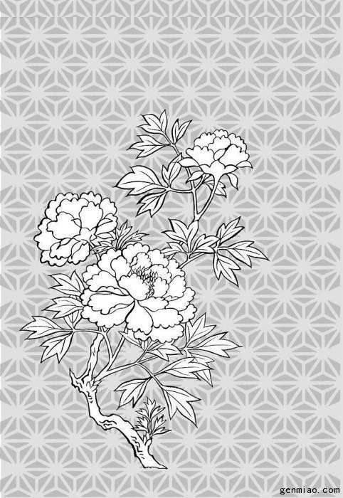 牡丹花铅笔画图片大全大图,牡丹画素描图片大全大图