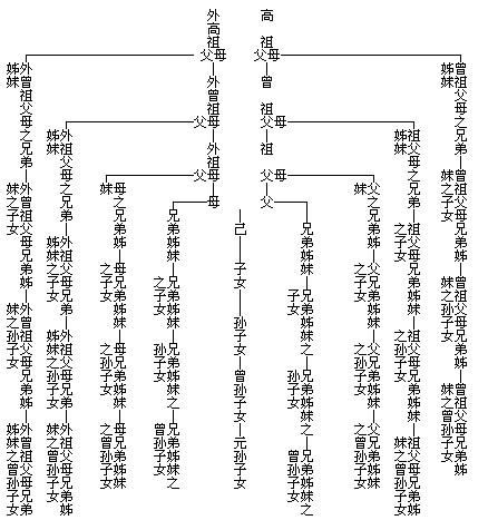 附:五代以内直系及旁系血亲表