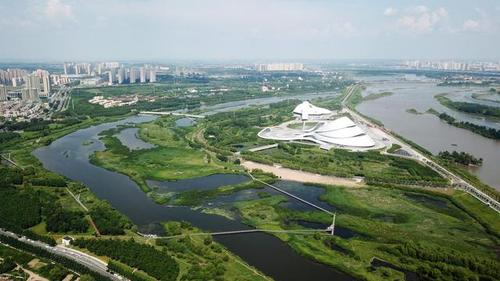 这是7月1日拍摄的哈尔滨文化中心湿地公园.新华社记者 王建威 摄