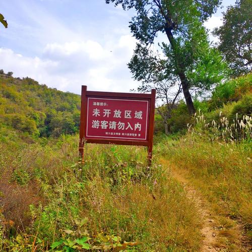 路边政府树的一块牌子,看见它心就颤.