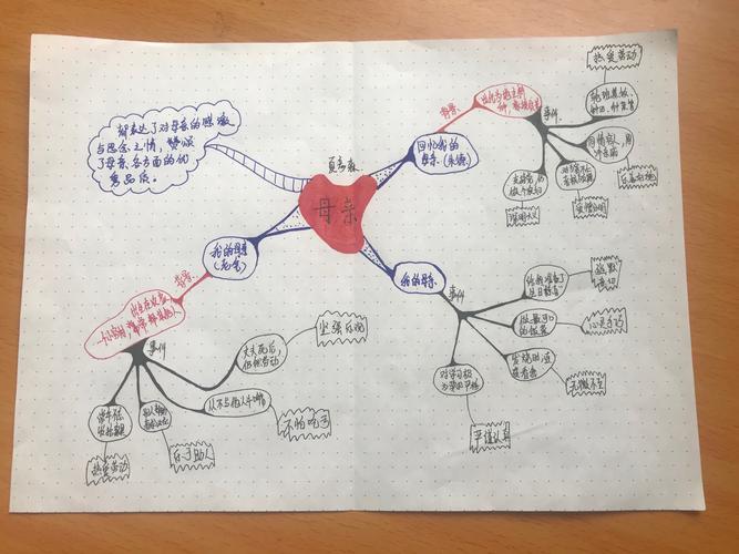 母亲—思维导图