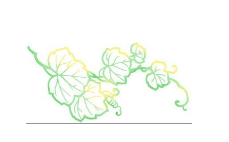 端午节手抄报花边设计