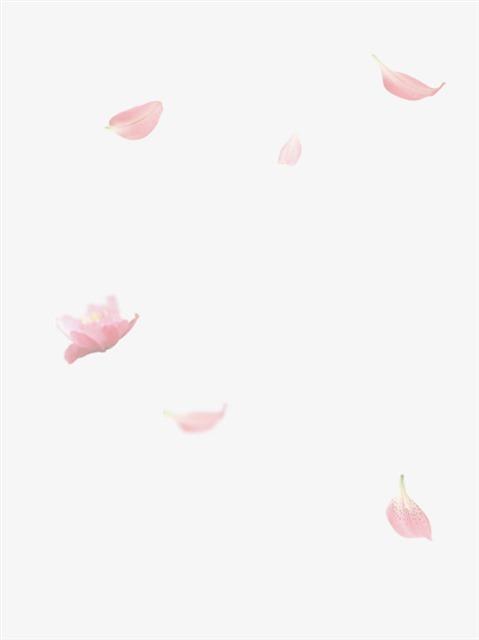 唯美古风桃花插画元素-唯美古风桃花插画图片素材下载_懒人图库