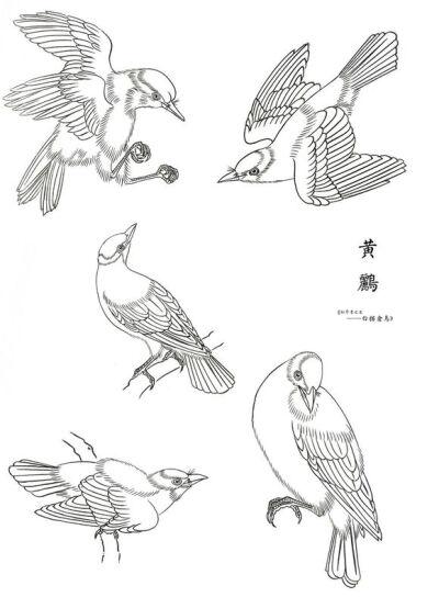 评论  彤彤分类收集 橡皮章素材 矢量蝴蝶 0 397 靓13  发布到  鸟