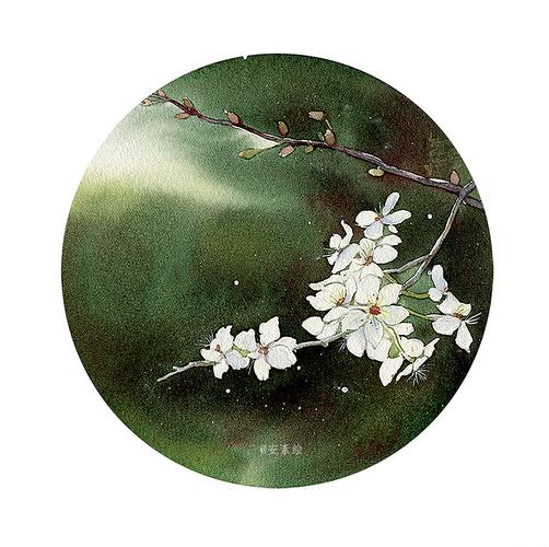 花好月圆系列(一)