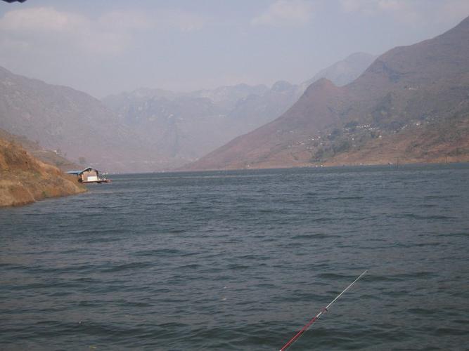 正月出钓北盘江西嘎 喜获大鲤鱼 - 钓鱼人