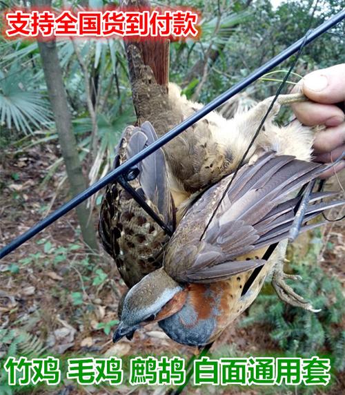 精品竹鸡水鸡野鸡鱼线补鞋线鸡地笼工艺品一套