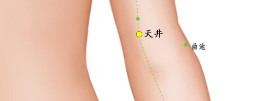 天井穴穴位的准确位置图_99健康网