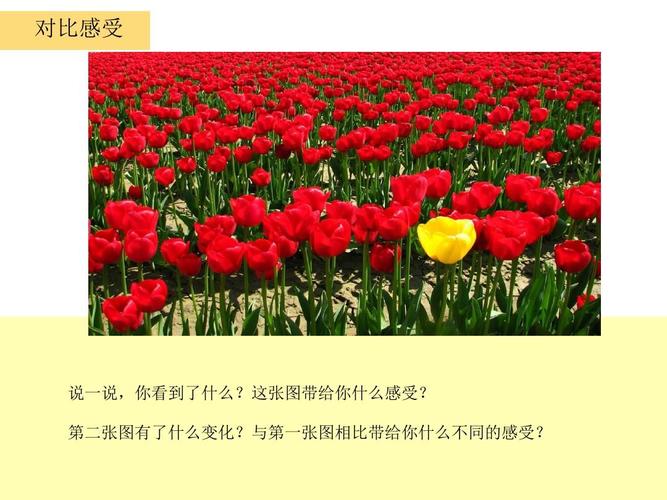 【新版】湘教版四年级美术上册《一模不一样》精品课件【名校精品】