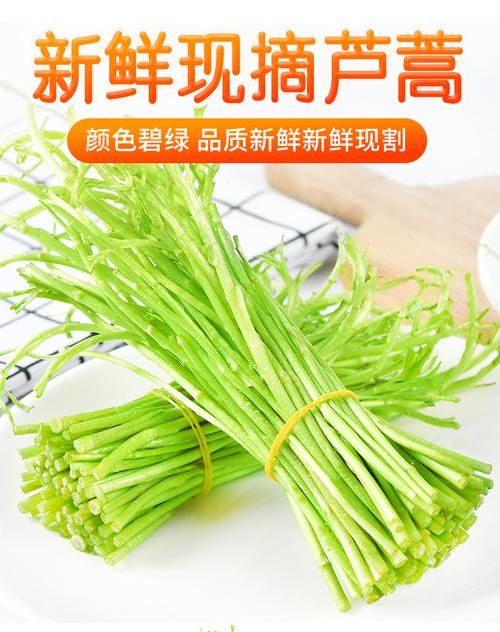 精选优质新鲜芦蒿黎蒿农家自种新鲜藜蒿蔬菜蒌蒿野菜泥蒿去根去叶现货