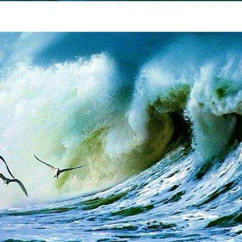 让暴风雨来得更猛烈些吧!