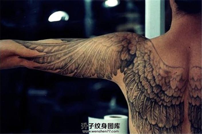 男性后背大臂翅膀纹身图案